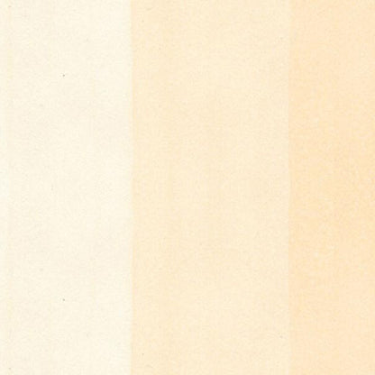 Copic Ciao Marker Pale Fruit Pink E000