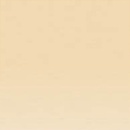 Derwent Coloursoft Pencil Pale Peach (C570)
