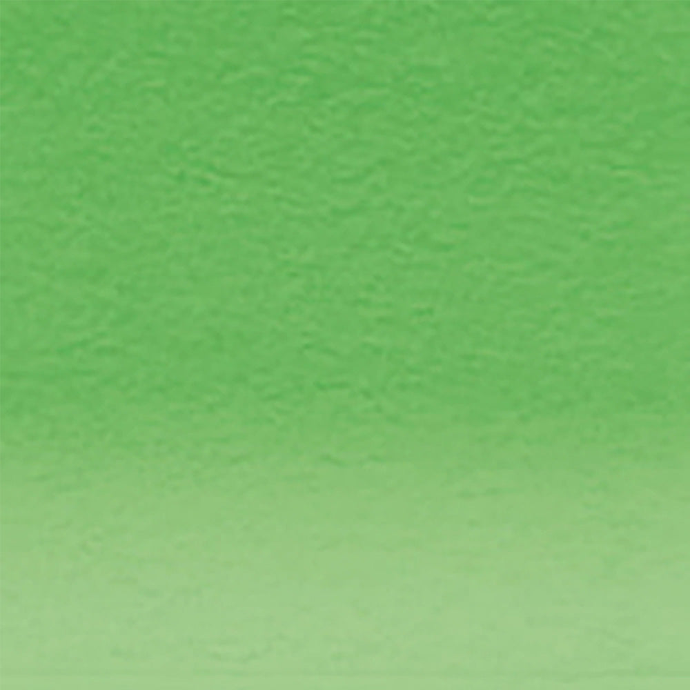 Derwent Pastel Pencil Emerald Green (P460)