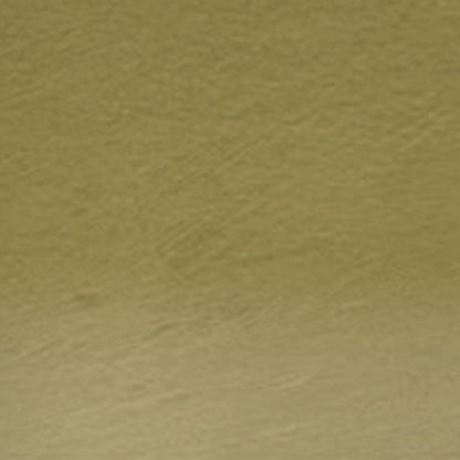 Derwent Tinted Charcoal Pencil Dark Moss (Tc16)