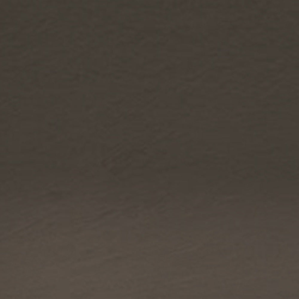 Derwent Tinted Charcoal Pencil Driftwood (Tc17)