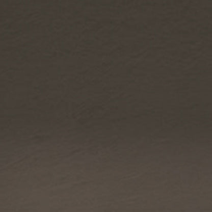 Derwent Tinted Charcoal Pencil Driftwood (Tc17)