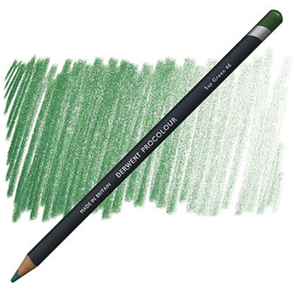 Derwent Procolour Pencil Sap Green (46)