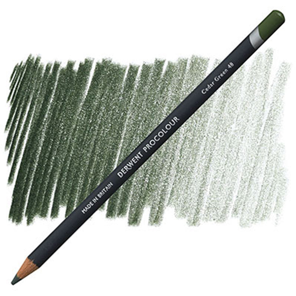 Derwent Procolour Pencil Cedar Green (48)