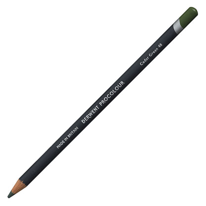 Derwent Procolour Pencil Cedar Green (48)
