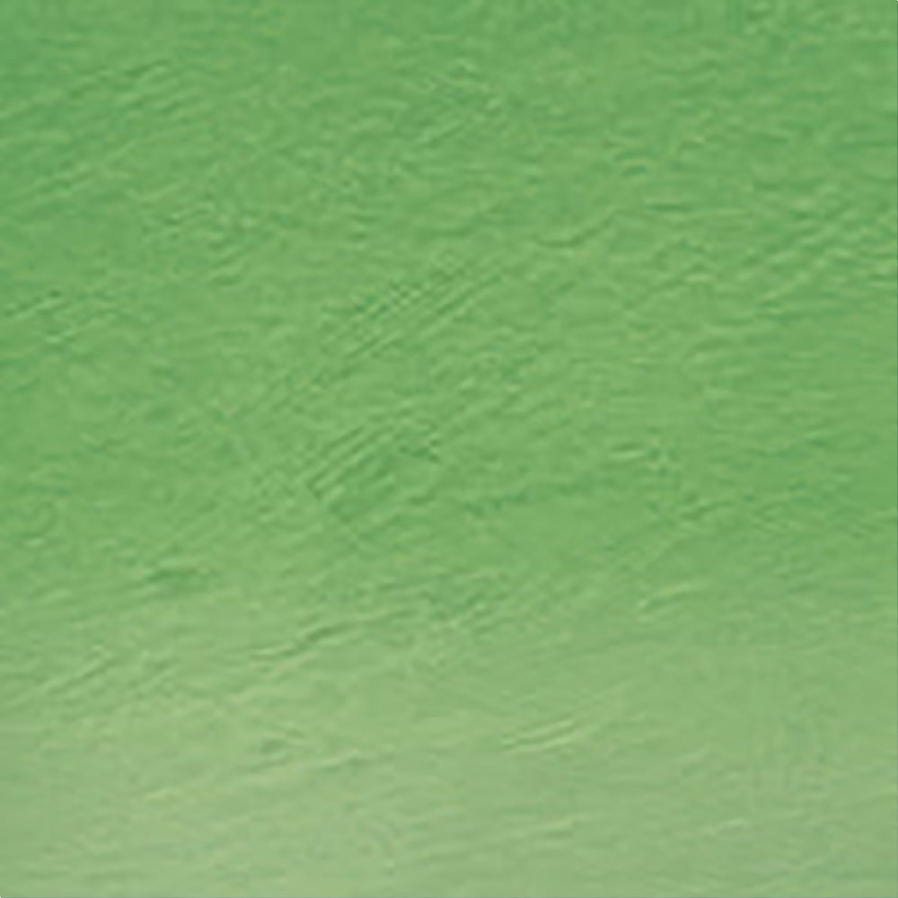 Derwent Watercolour Pencil Emerald Green (46)