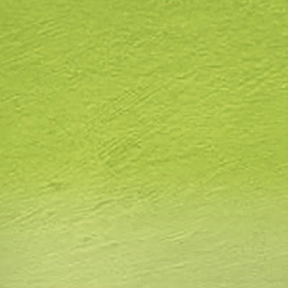 Derwent Watercolour Pencil Grass Green (47)