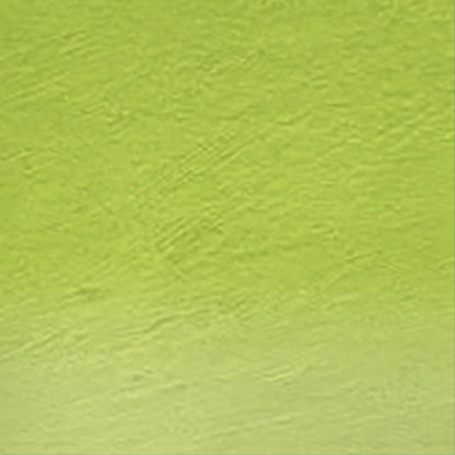 Derwent Watercolour Pencil Grass Green (47)