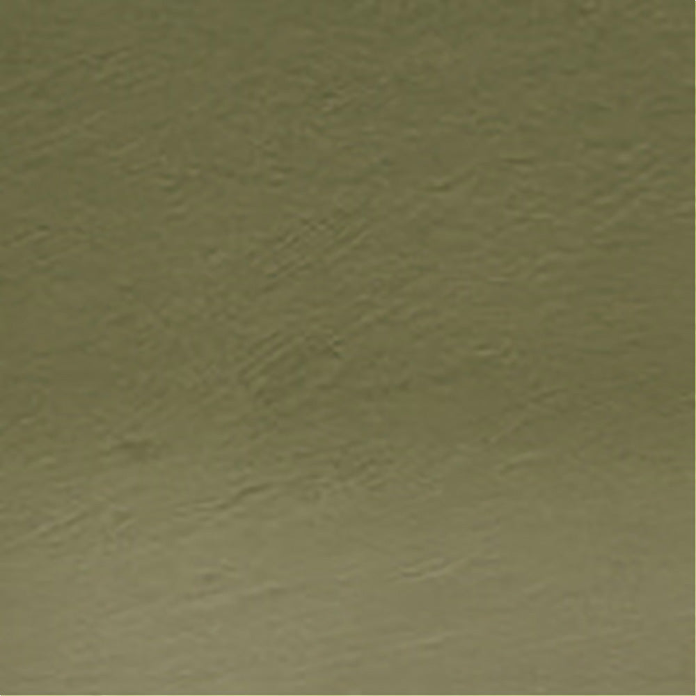 Derwent Watercolour Pencil Sap Green (49)