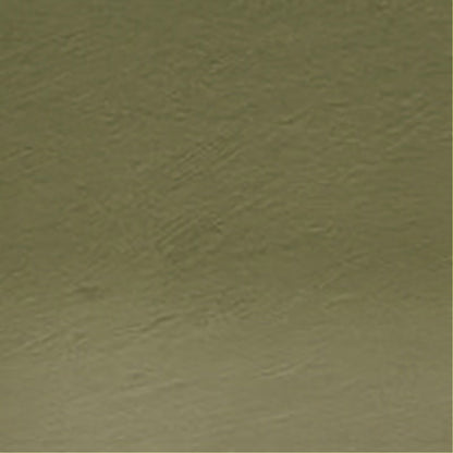 Derwent Watercolour Pencil Sap Green (49)