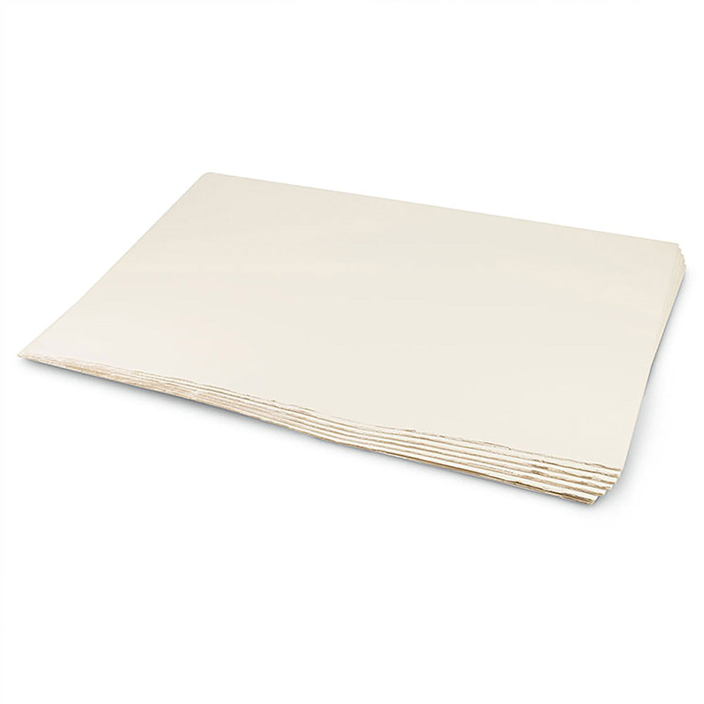 Fabriano Rosaspina 285gr 70x100cm Avorio (Fildişi)