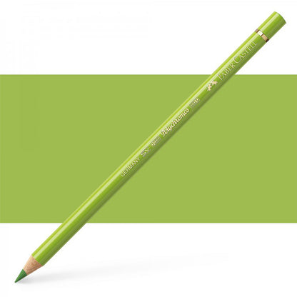 Faber Castell Polychromos Colour Pencil May Green 170