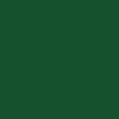 Golden Heavy Body Acrylic Phthalo Green(Yellow Shade)148ml S.4
