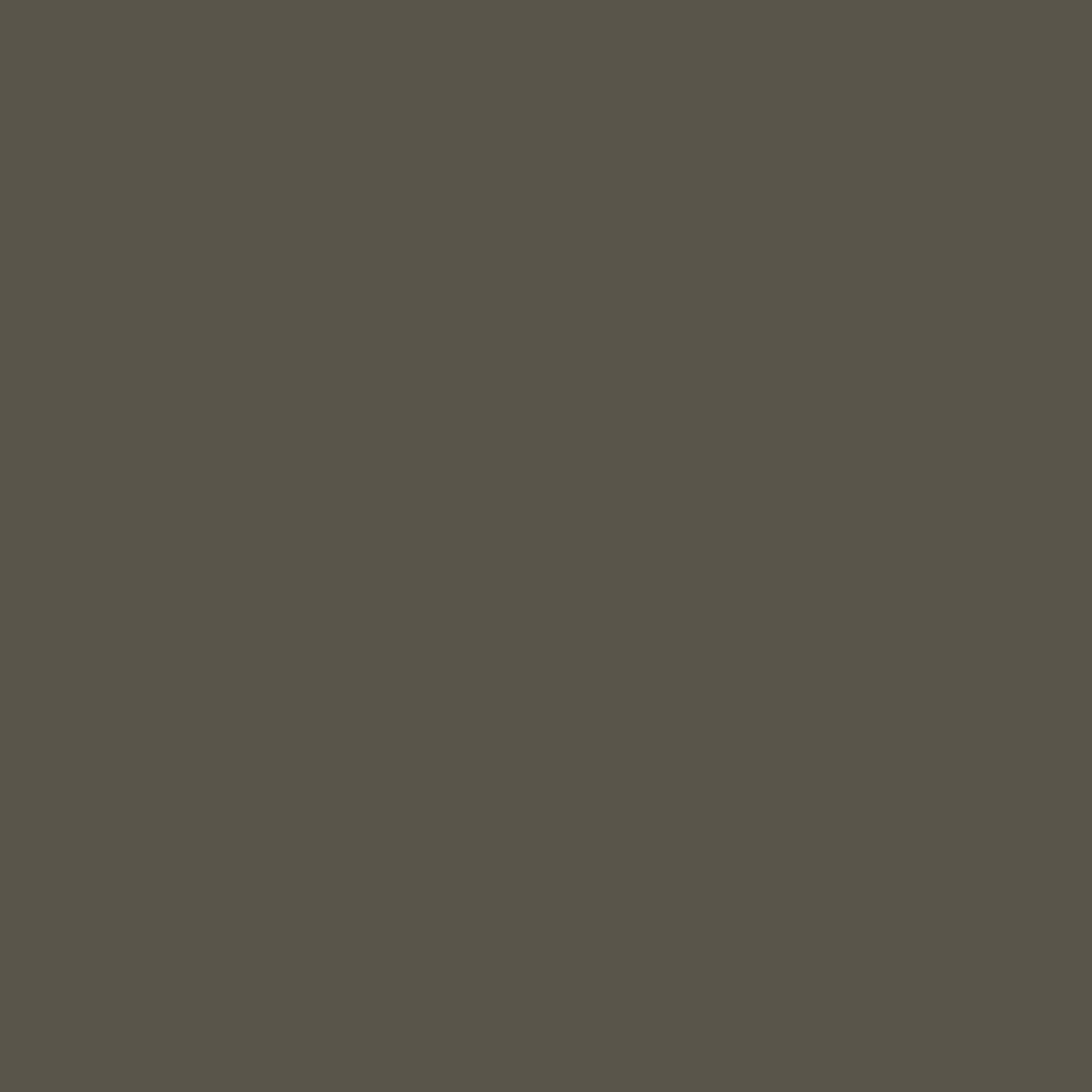 Golden Heavy Body Acrylic Raw Umber 473ml S.1