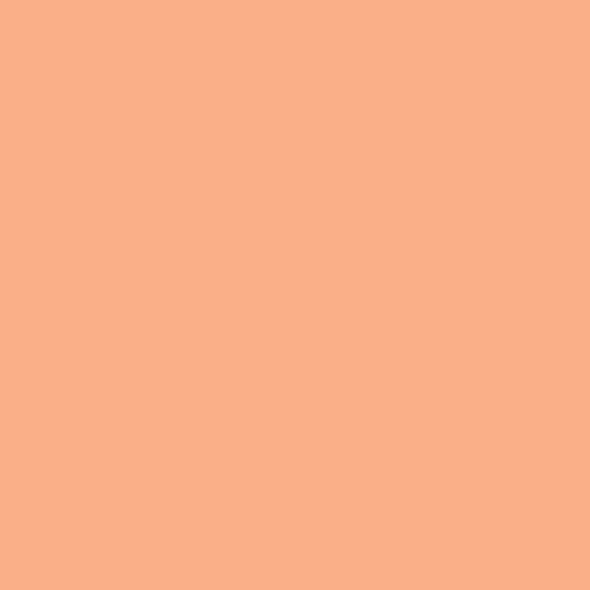 Golden Heavy Body Acrylic Light Orange 148ml S.4