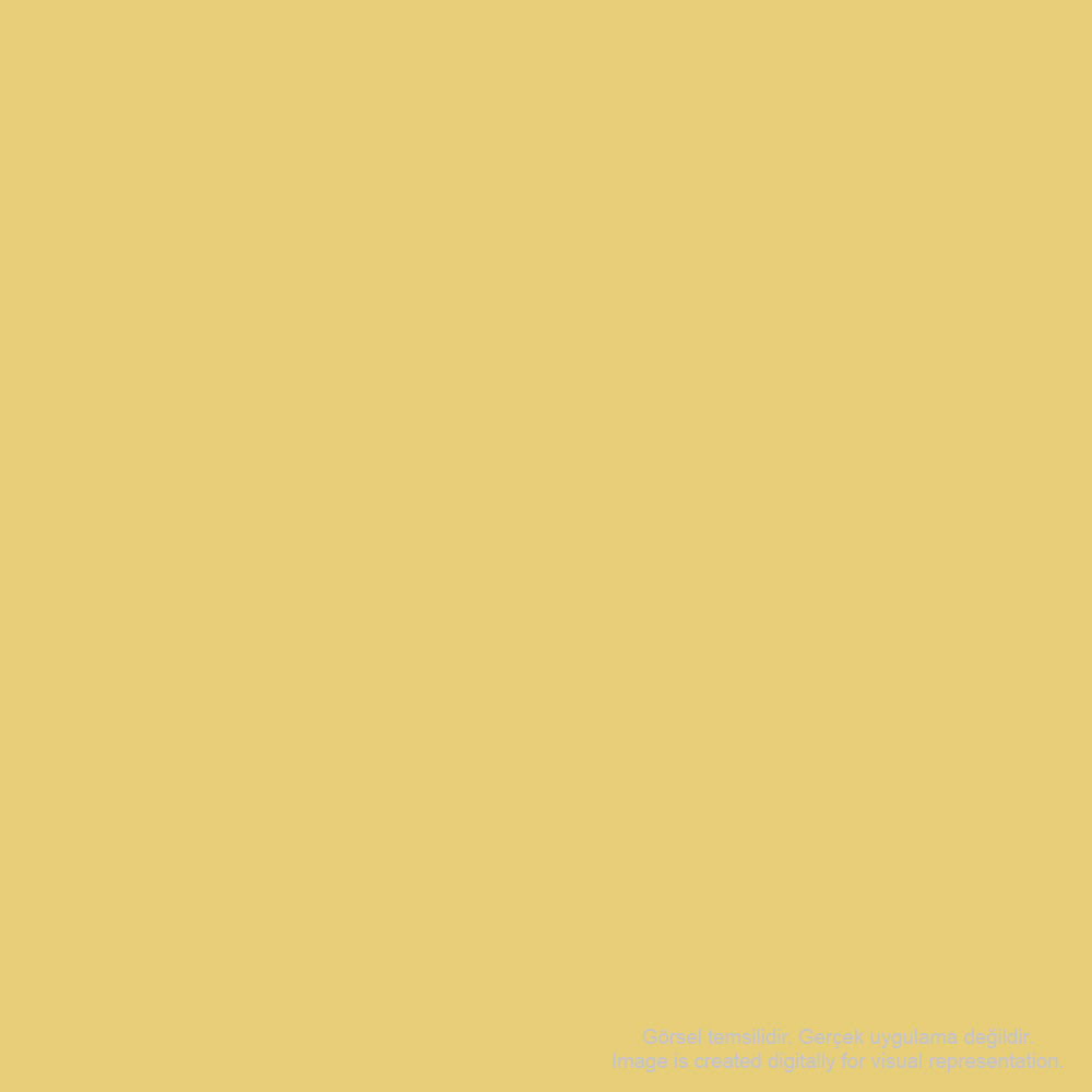 Kaweco Frosted Sport 3.2mm Portmin Kalem Sweet Banana