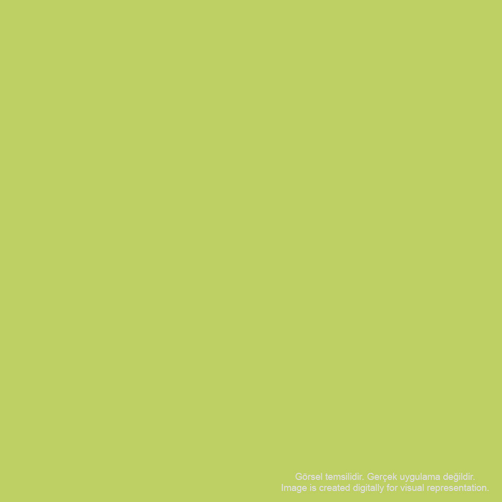 Kaweco Frosted Sport 3.2mm Portmin Kalem Lime