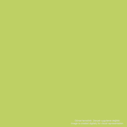 Kaweco Frosted Sport 3.2mm Portmin Kalem Lime