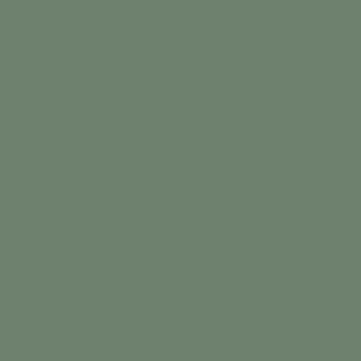 Leuchtturm 1917 Notebook Medium A5 Hardcover 251 Pages Dotted Olive