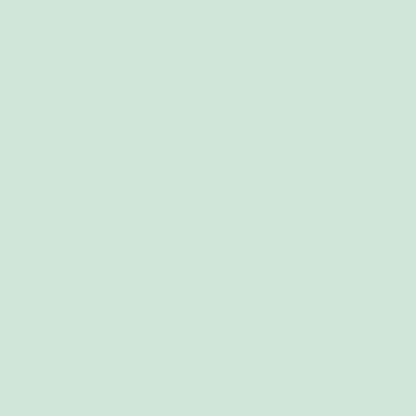 Leuchtturm 1917 Notebook Medium A5 Hardcover 251 Pages Ruled Mint Green