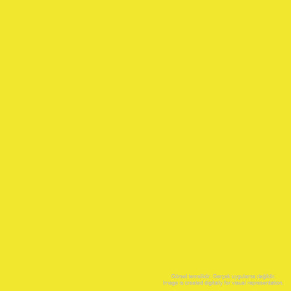 Pebeo Huile D'art Yağlı Boya 37ml Permanent Lemon Yellow  146 S.1