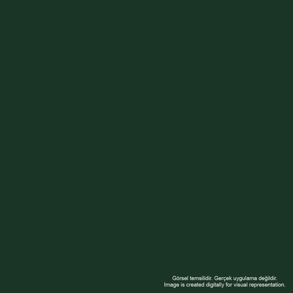 Pebeo Huile D'art Yağlı Boya 37ml Earth Green 161 S.1