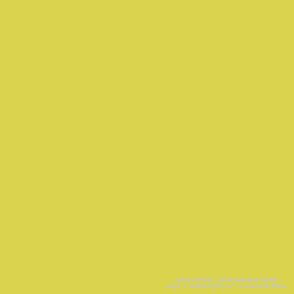 Pebeo Acrylic Studio 500ml Lemon Cadmium Yellow 22