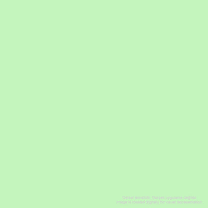 Pebeo Acrylic Studio 100ml Phosphorescent Green 112