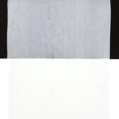 PanPastel Ultra Soft Artist Pastel Titanium White 9ml 100.5