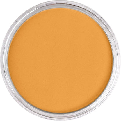 PanPastel Ultra Soft Artist Pastel Yellow Oxide 9ml 270.5