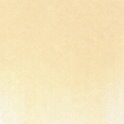 PanPastel Ultra Soft Artist Pastel Yellow Oxide Tint 9ml 270.8