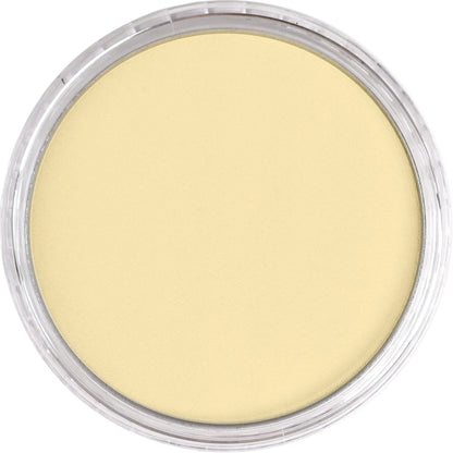 PanPastel Ultra Soft Artist Pastel Yellow Oxide Tint 9ml 270.8