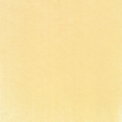 PanPastel Ultra Soft Artist Pastel Orange Tint 9ml280.8