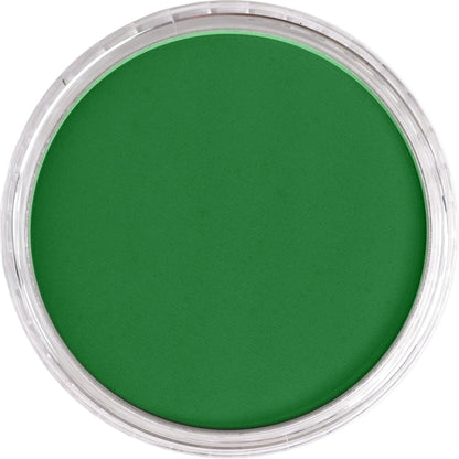 PanPastel Ultra Soft Artist Pastel Permanent Green Shade 9ml 640.3
