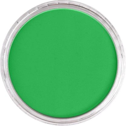 PanPastel Ultra Soft Artist Pastel Permanent Green 9ml 640.5