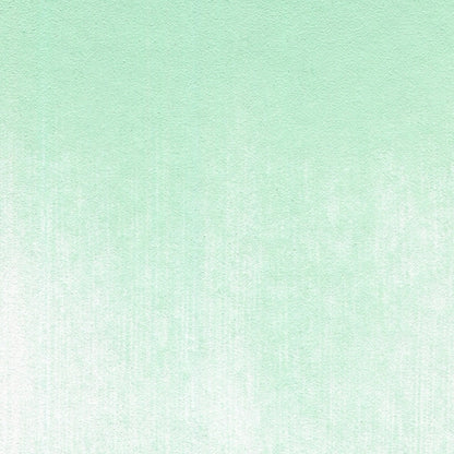 PanPastel Ultra Soft Artist Pastel Permanent Green Tint 9ml 640.8