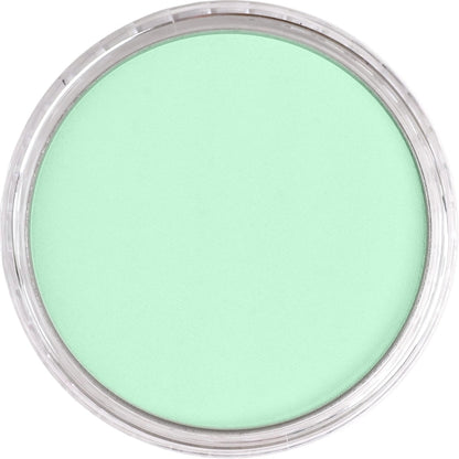 PanPastel Ultra Soft Artist Pastel Permanent Green Tint 9ml 640.8