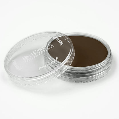 PanPastel Ultra Soft Artist Pastel Raw Umber Shade 9ml 780.3