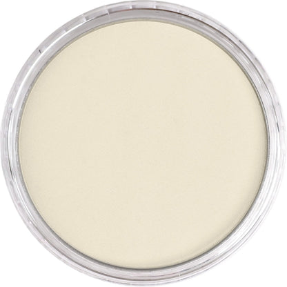 PanPastel Ultra Soft Artist Pastel Raw Umber Tint 9ml 780.8