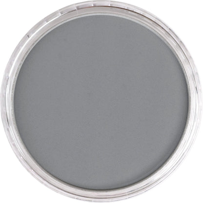 PanPastel Ultra Soft Artist Pastel Payne's Gray Tint(1)9ml 840.7