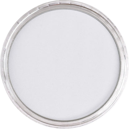 PanPastel Ultra Soft Artist Pastel Payne's Gray Tint(2)9ml 840.8
