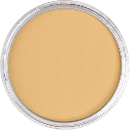 PanPastel Ultra Soft Artist Pastel Rich Gold 9ml 911.5