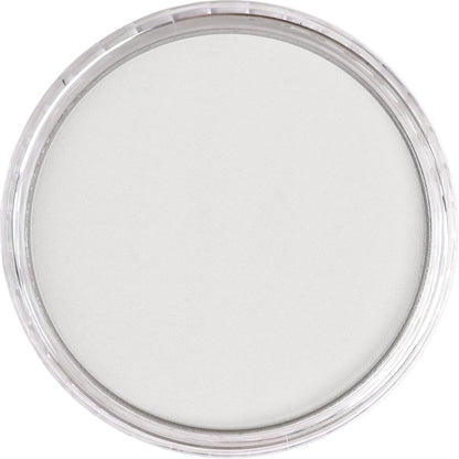 PanPastel Ultra Soft Artist Pastel Silver 9ml 920.5