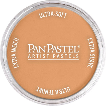 PanPastel Ultra Soft Artist Pastel Bronze 9ml 930.5