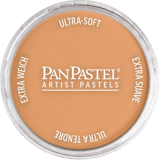 PanPastel Ultra Soft Artist Pastel Bronze 9ml 930.5