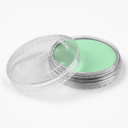 PanPastel Ultra Soft Artist Pastel Pearlescent Green 9ml 956.5