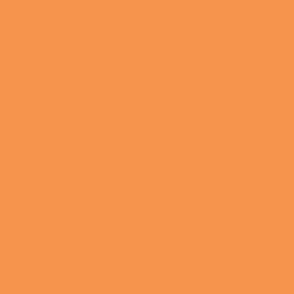 Rhodia Basics No.18 Çizgili Bloknot 90gr A4(210x297mm) 70 Yaprak Turuncu Kapak
