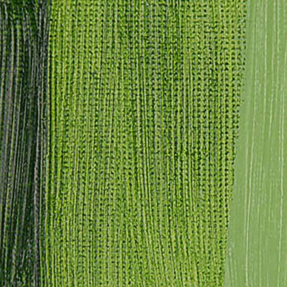 Daler Rowney Georgian Yağlı Boya 38ml Sap Green 375