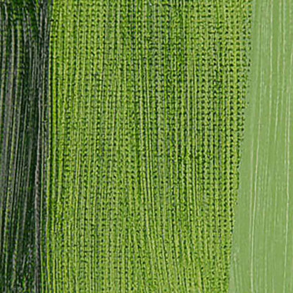 Daler Rowney Georgian Yağlı Boya 225ml Sap Green 375