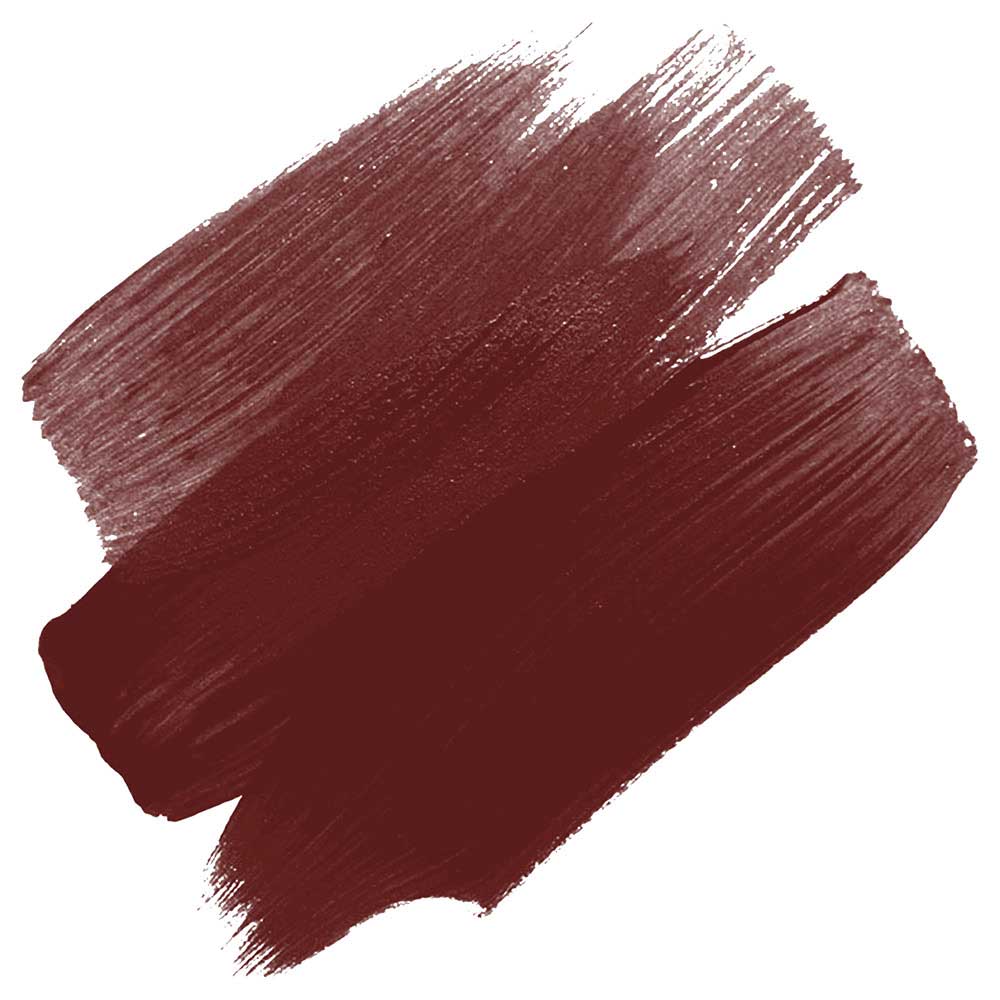 Daler Rowney FW Acrylic Artist Ink 29.5ml Burnt Umber 223